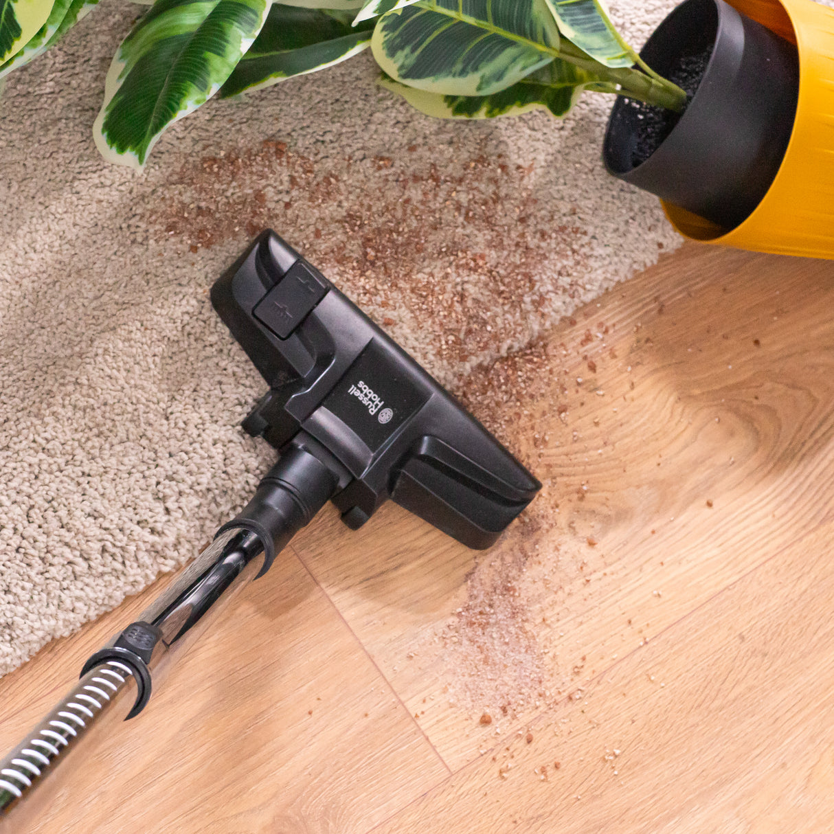 Titan 2 Pet Multi-Cyclone Cylinder Vacuum