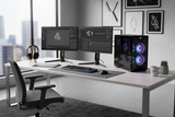 Dual monitor workstation